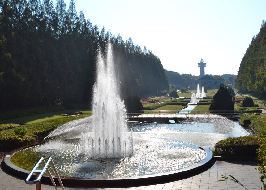 溝 公園 麻 【相模原麻溝公園ふれあい動物広場】アクセス・営業時間・料金情報