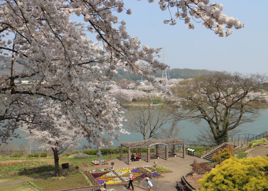 今年のお花見スポットはもう決めた 相模原で開催される桜まつり I M Home Sagamihara アイムホーム相模原 相模原のライフスタイルマガジン By美都住販