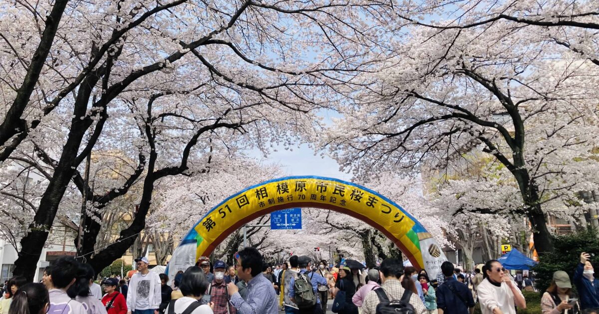 氷泉のいまむかし 市制施行35周年記念 いずみ中央駅(SO35)が開業35周年、限定500セットの記念券 - たま