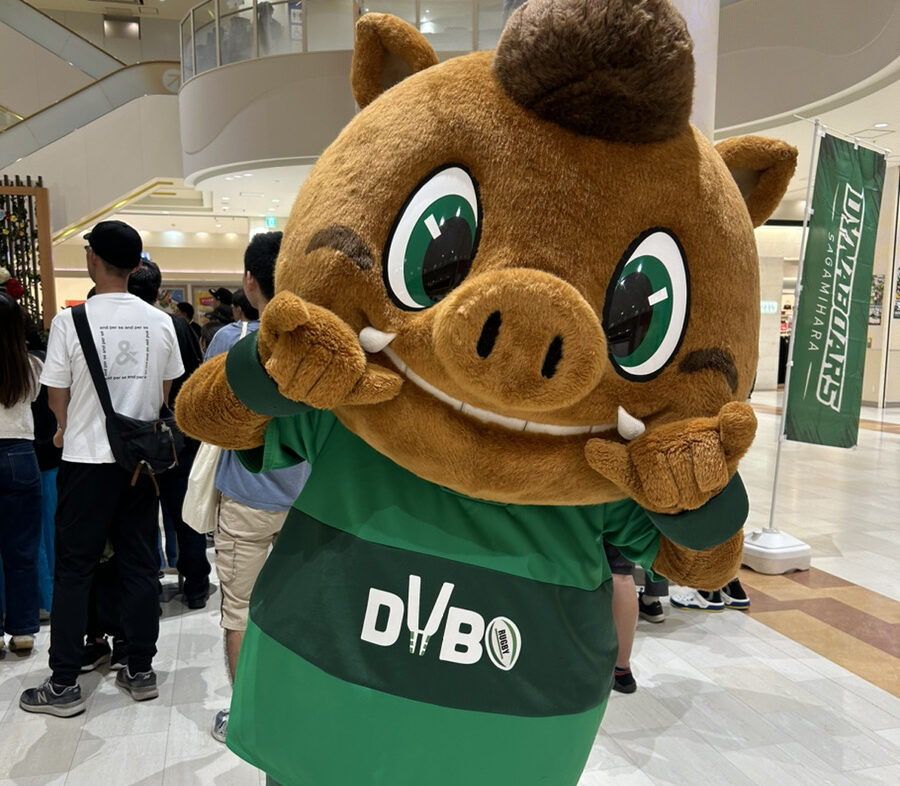 ダイナボアーズフェスタへ