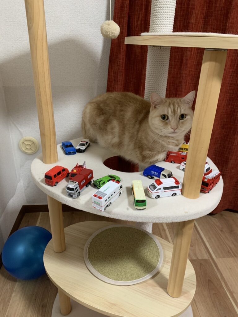 ブログ