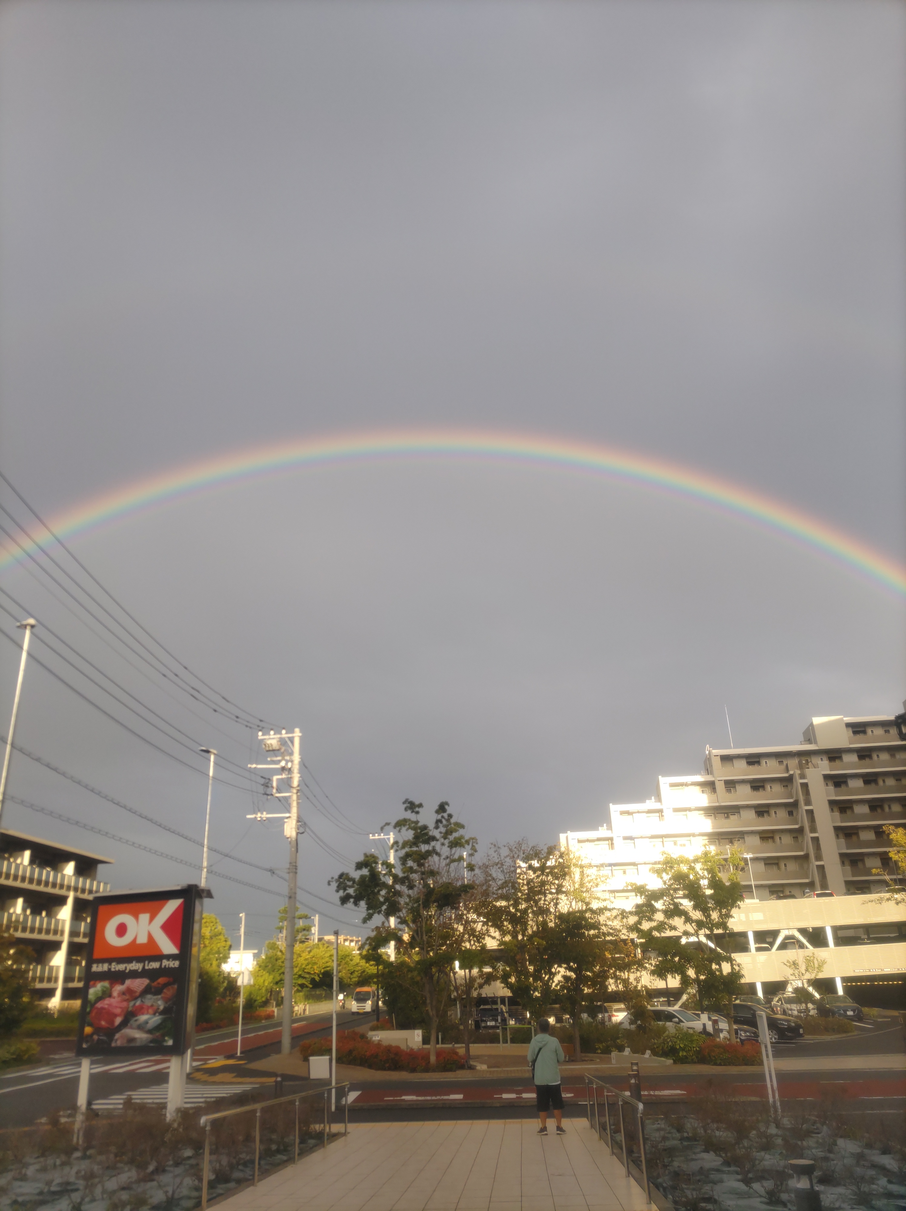 今年一番の虹を見ました！