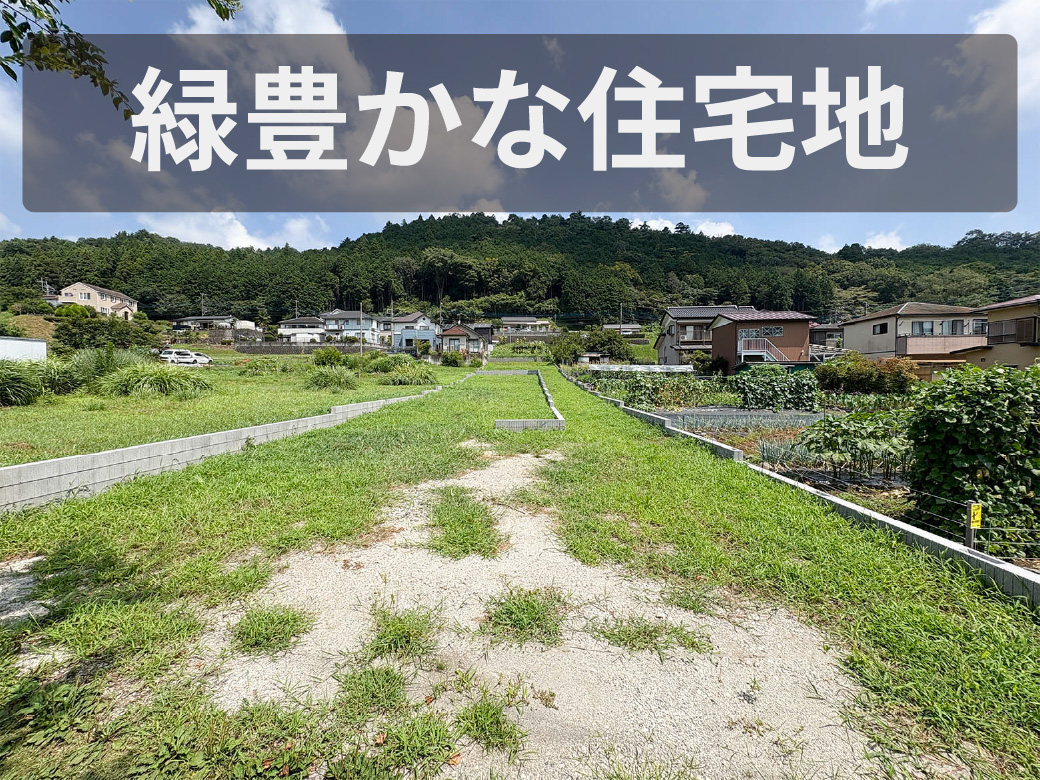 土地　ポイント　緑豊かな住宅地