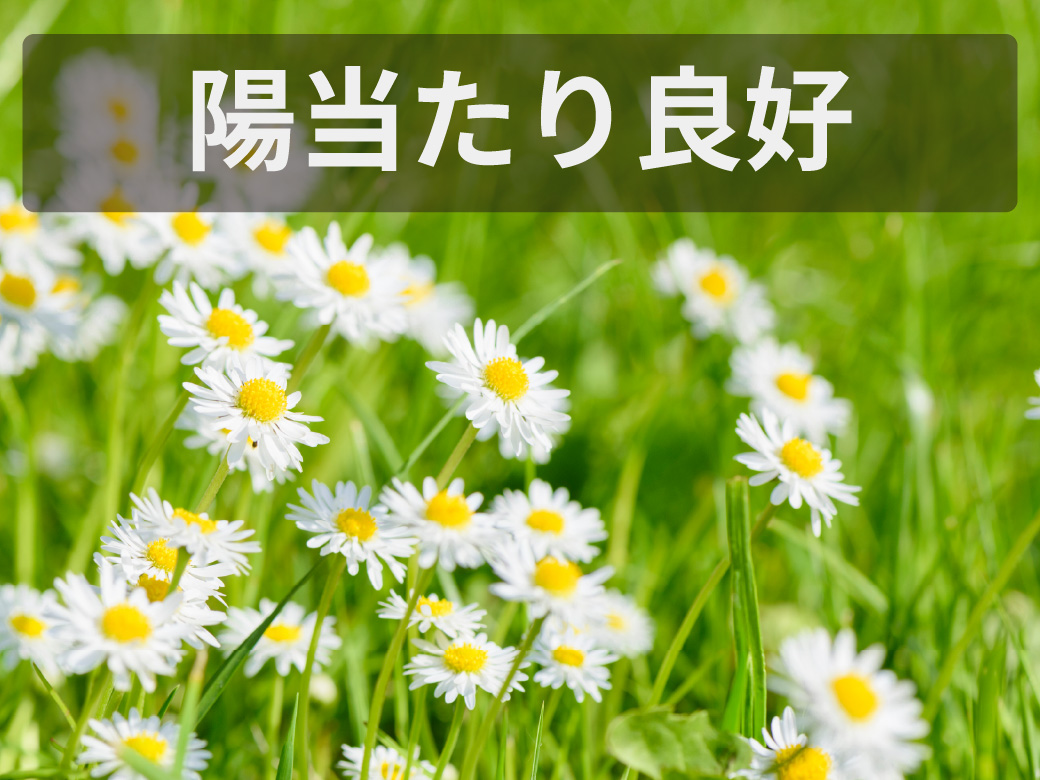 土地　ポイント　陽当たり良好