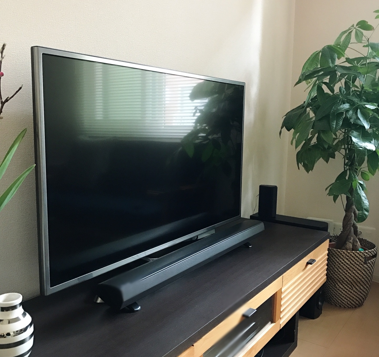 テレビについて📺