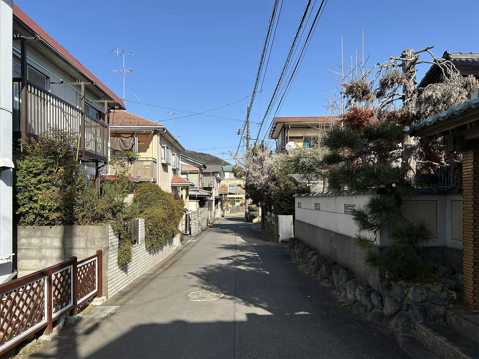美都住販　太井　条件なし売地