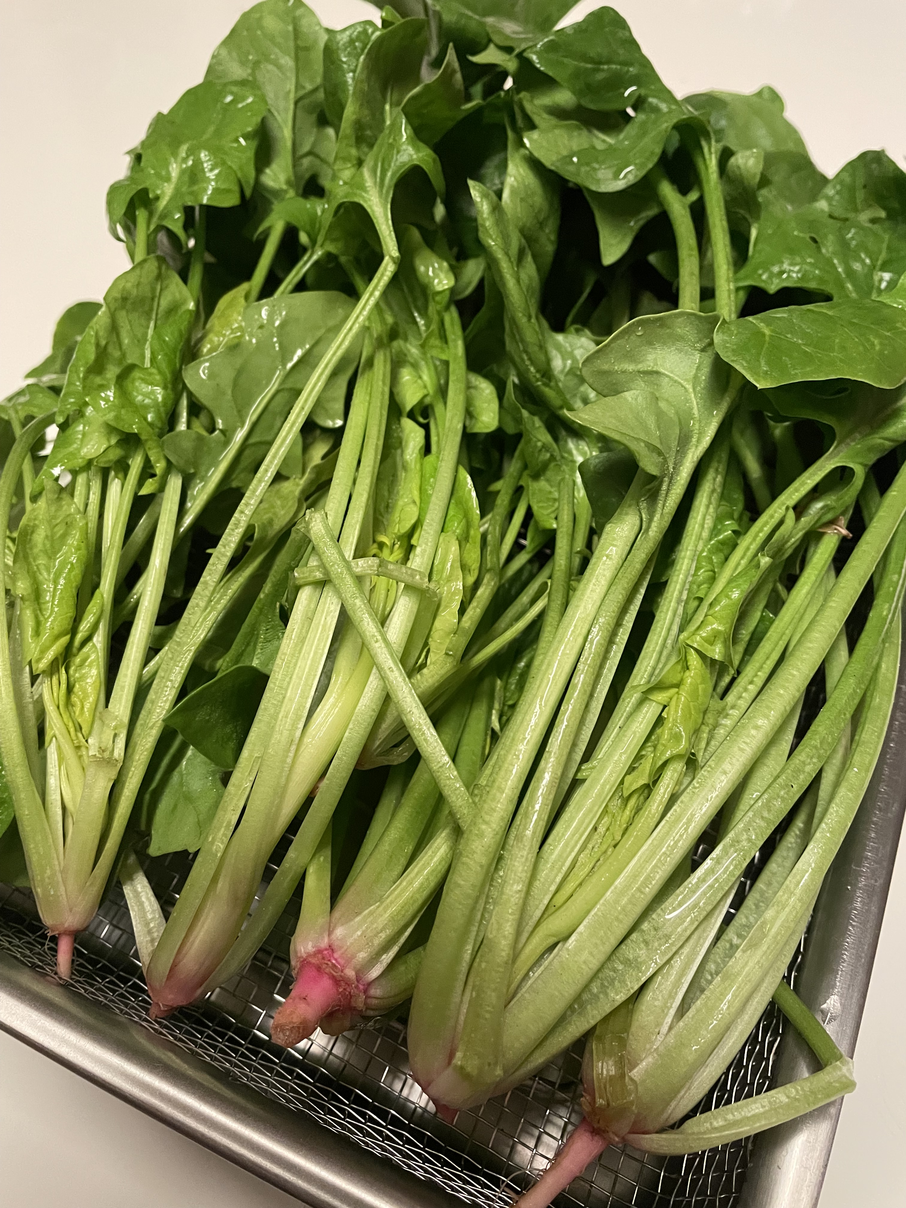 🌳自然をそばに感じられる暮らし🌳