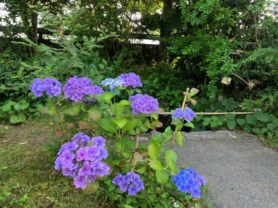 はじめまして。