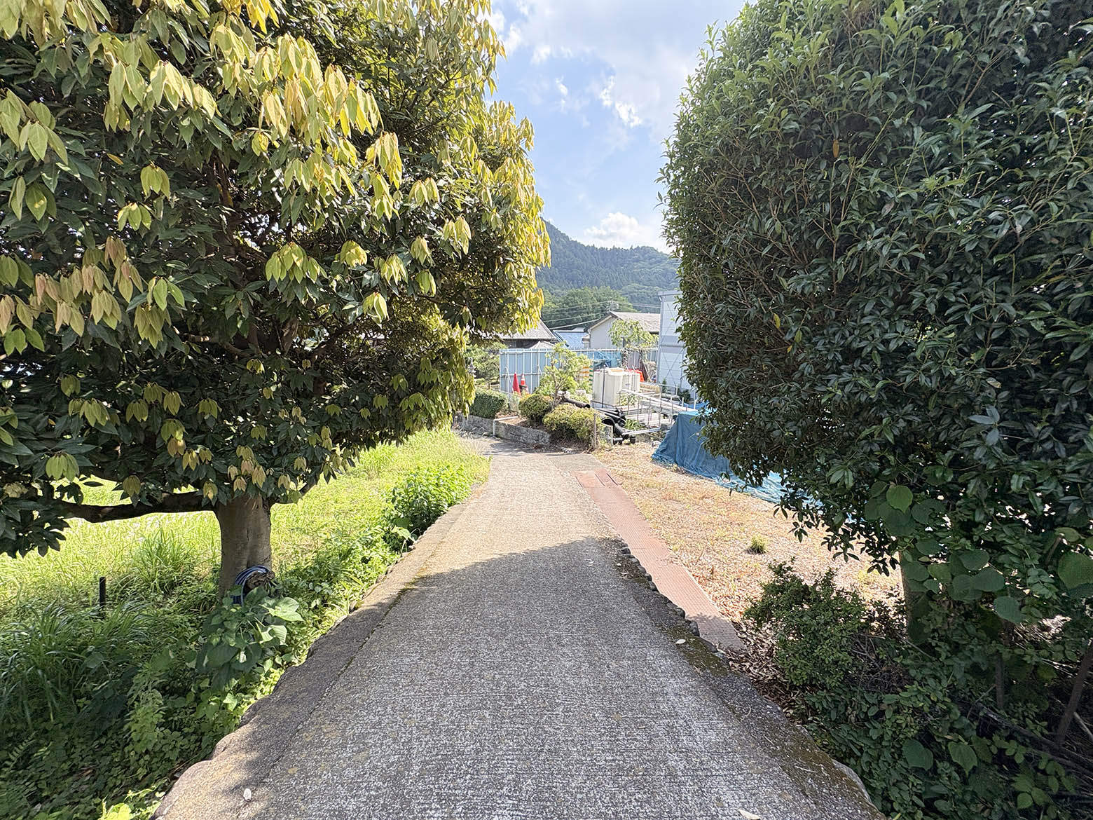 美都住販　青山　条件付売地